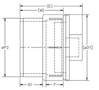 Fitting Cleanout with Gasketed Plug (SxFIPT) Schm