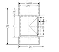 Test Tee with Countersunk Plug HxHxFIPT Schm